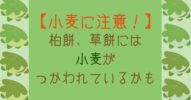 【小麦に注意！】柏餅、草餅などの和菓子にも小麦がつかわれているかも